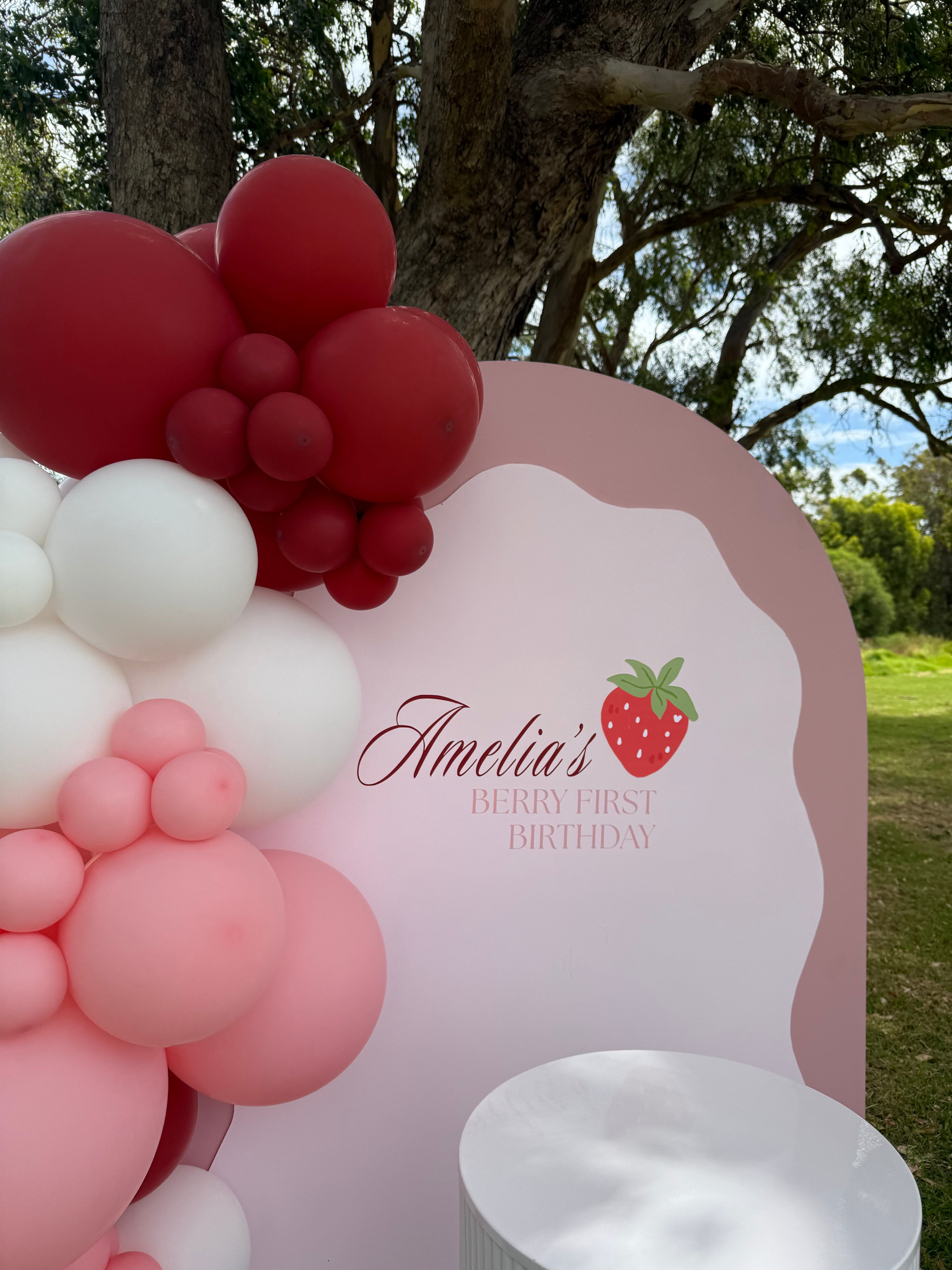 Arch and balloon garland