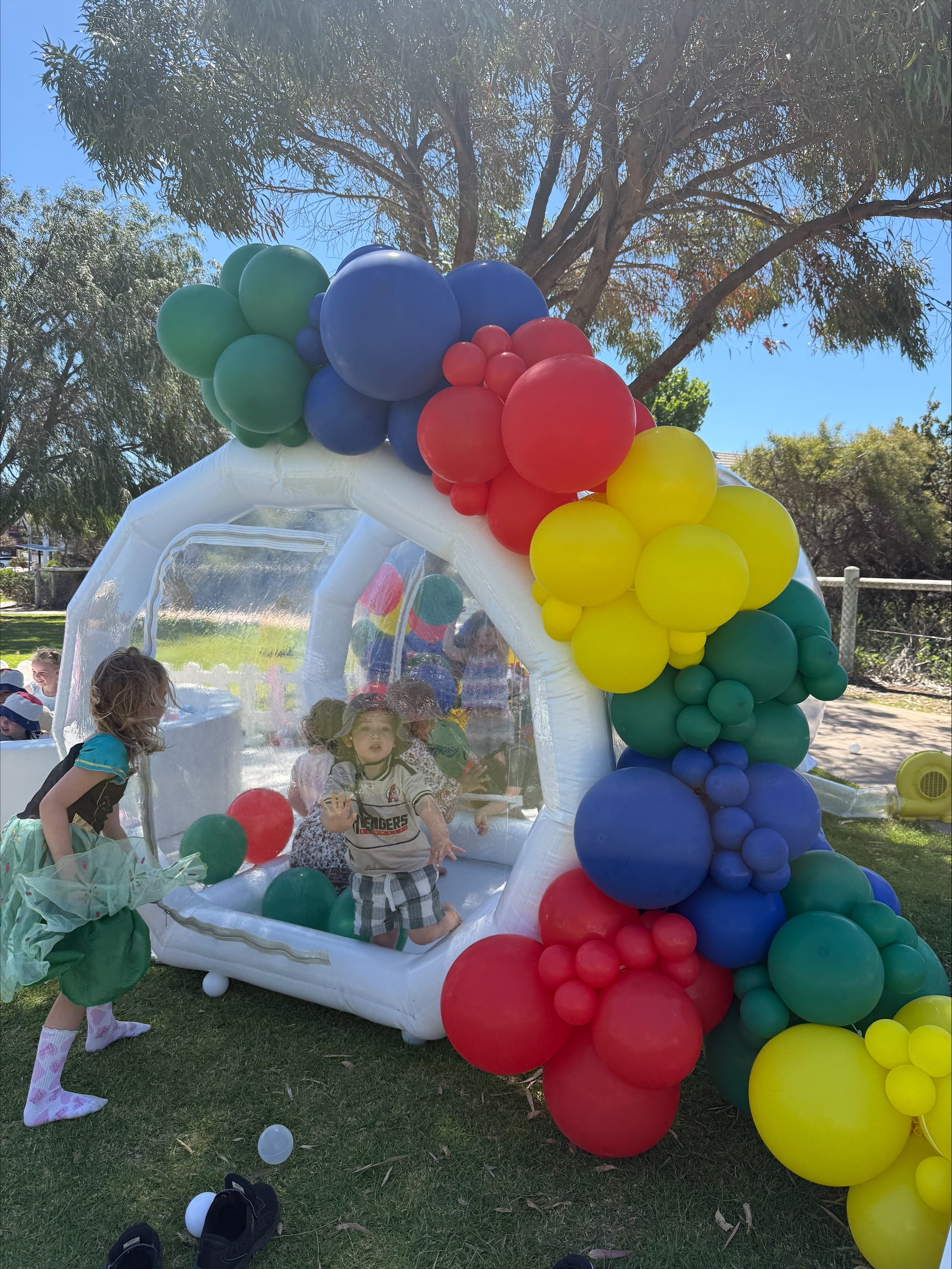 Mini Bubble Dome